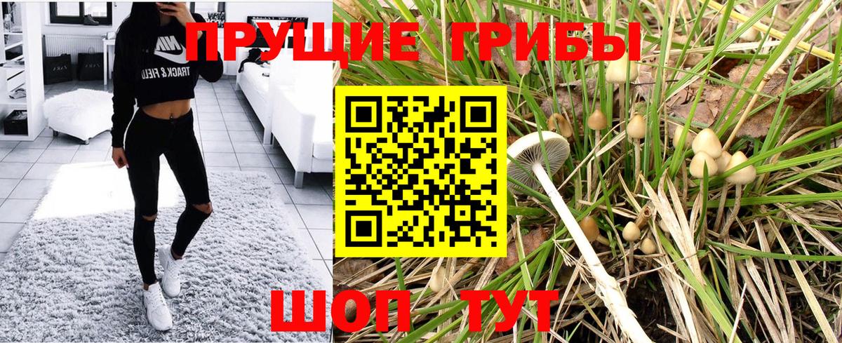 Галлюциногенные грибы GOLDEN TEACHER  Вход с VPN  Шали 
